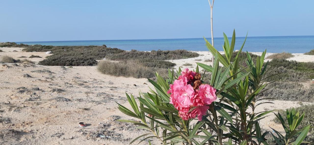 Dar Chick Yahia Ile De Djerba Bed & Breakfast Mezrane Екстериор снимка